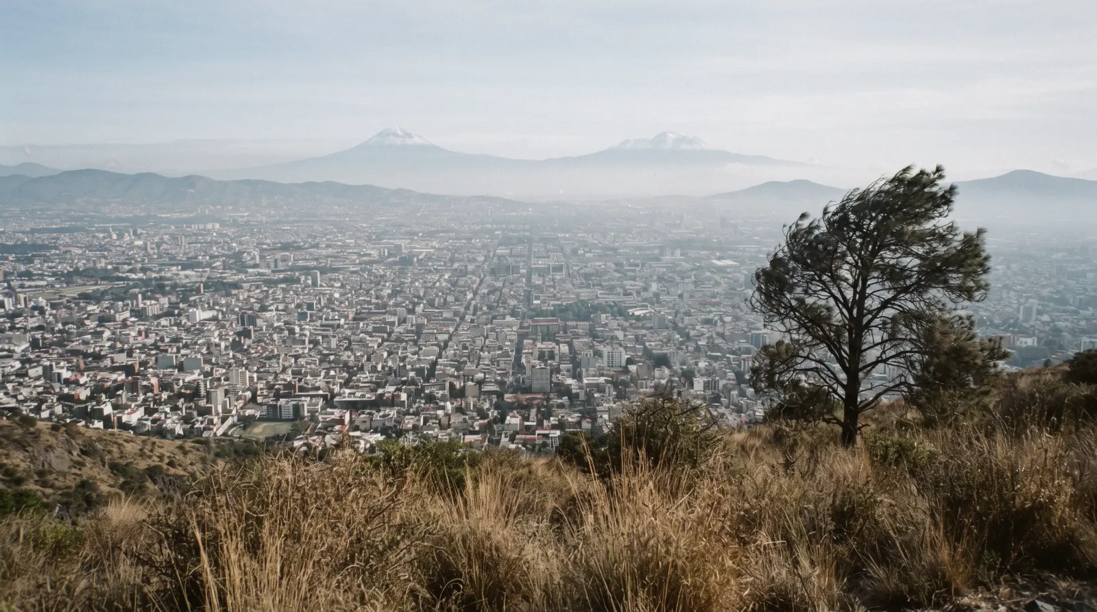 The city spread across its valley seen from above, a map of Mexico City