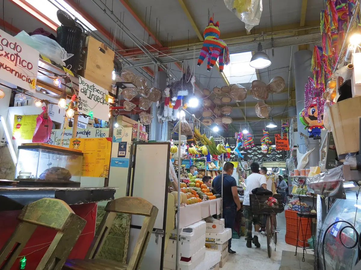 Inside the Mercado de San Juan in the Centro Histórico, the market Mexico City's cooks buy from